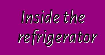 Inside the refrigerator