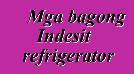 Mga bagong Indesit refrigerator