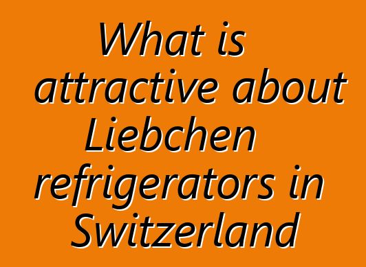 What is attractive about Liebchen refrigerators in Switzerland