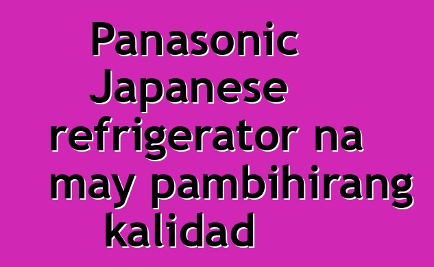 Panasonic Japanese refrigerator na may pambihirang kalidad