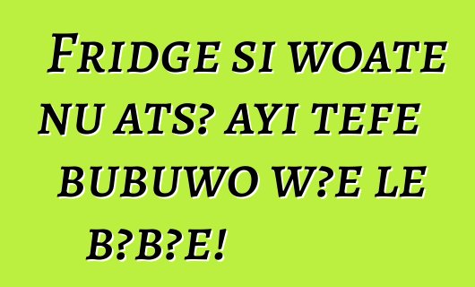 Fridge si woate ŋu atsɔ ayi teƒe bubuwo wɔe le bɔbɔe!