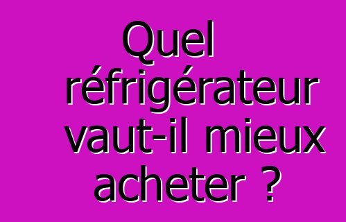 Quel réfrigérateur vaut-il mieux acheter ?