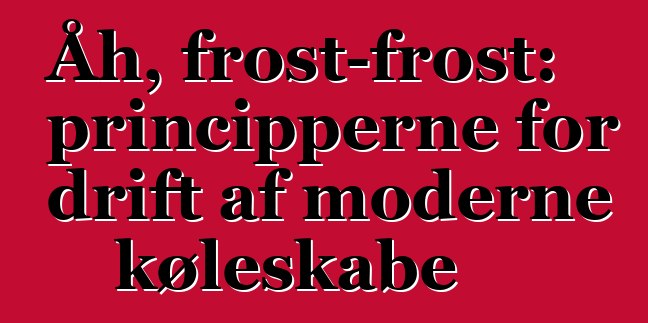 Åh, frost-frost: principperne for drift af moderne køleskabe