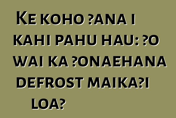 Ke koho ʻana i kahi pahu hau: ʻo wai ka ʻōnaehana defrost maikaʻi loa?